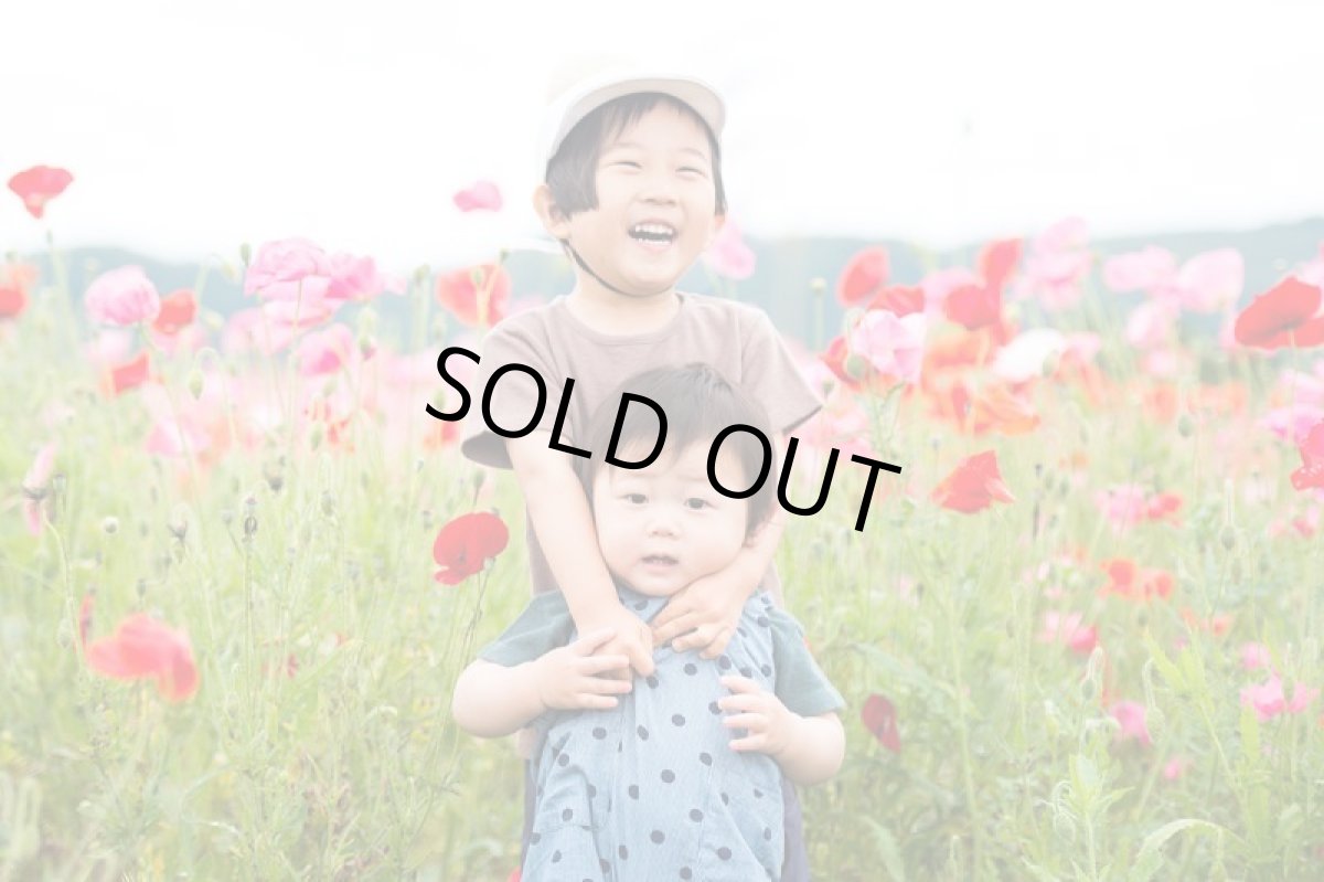 画像2: 復活のポピーの会 (2)