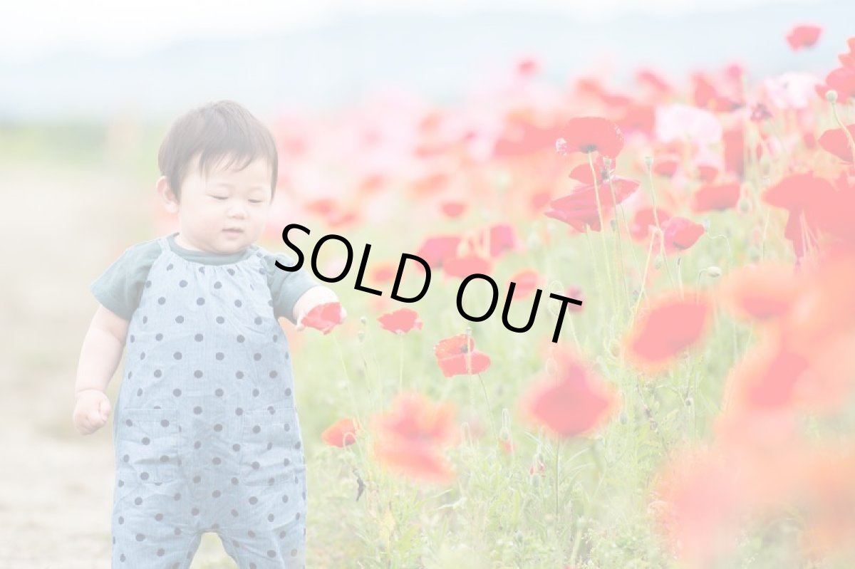 画像3: 復活のポピーの会 (3)