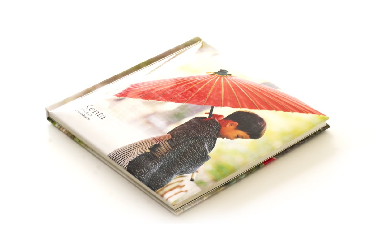 画像2: 【デザインアルバム】プロ (2)