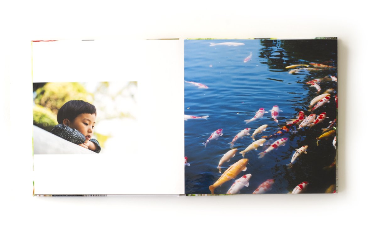 画像3: 【デザインアルバム】プロ (3)