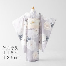 画像1: 菊むらさきさん 【対応身長】１１５cm〜１２５cm (1)