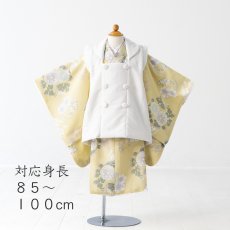 画像1: れもんちゃん　【対応身長】８５cm〜１００cm (1)